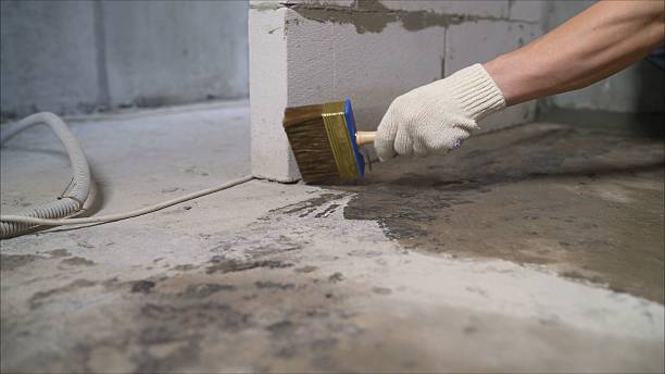SJ Waterproofing Pros Waterproofing coverage map for Ionia, MI and surrounding area